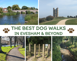 Evesham Dog Walks: The Dog Owner's Guide to Great Walks in Evesham and Beyond
